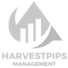 Harvest Pips